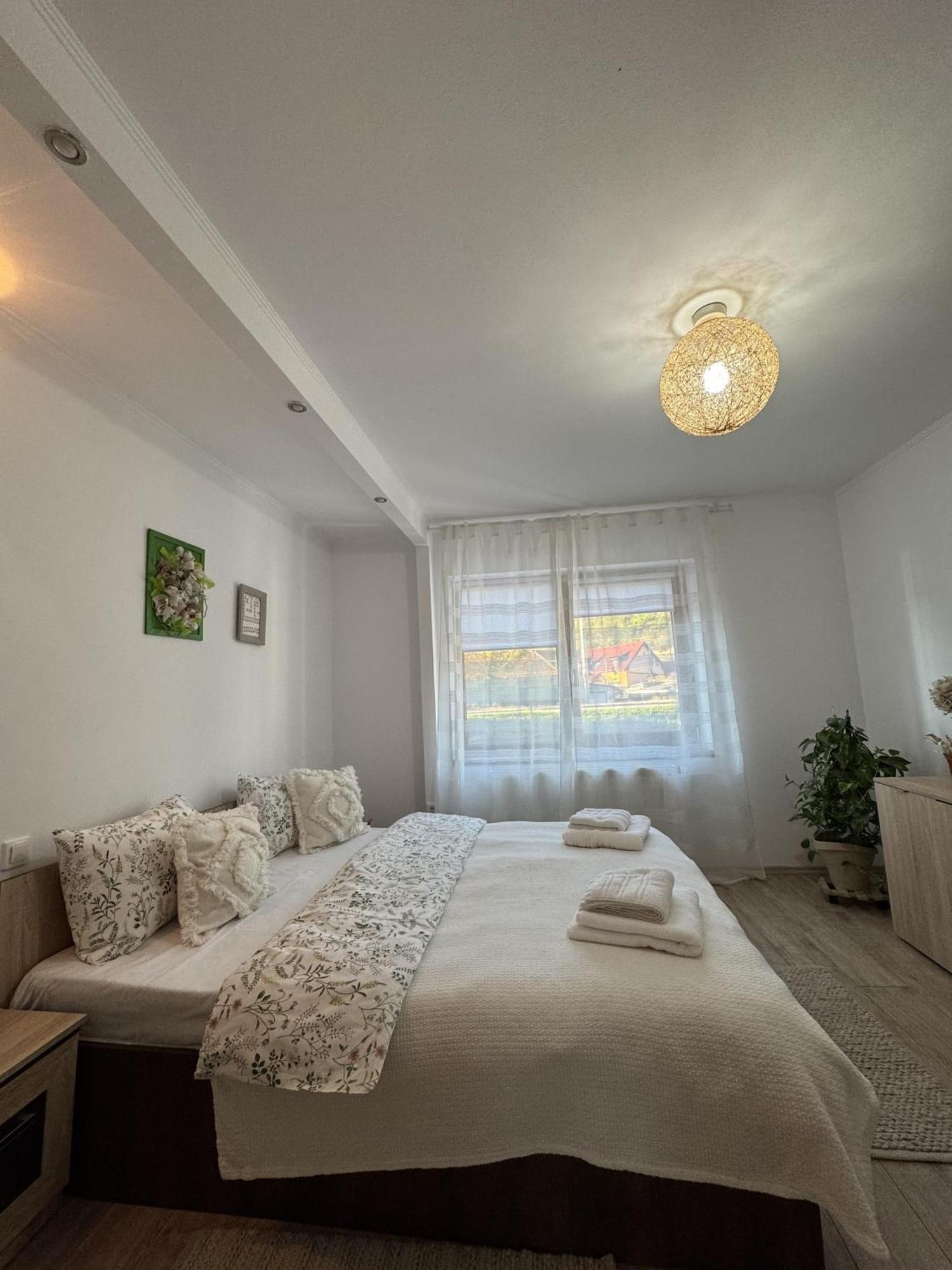 סיגישוארה Vik'S Home מראה חיצוני תמונה